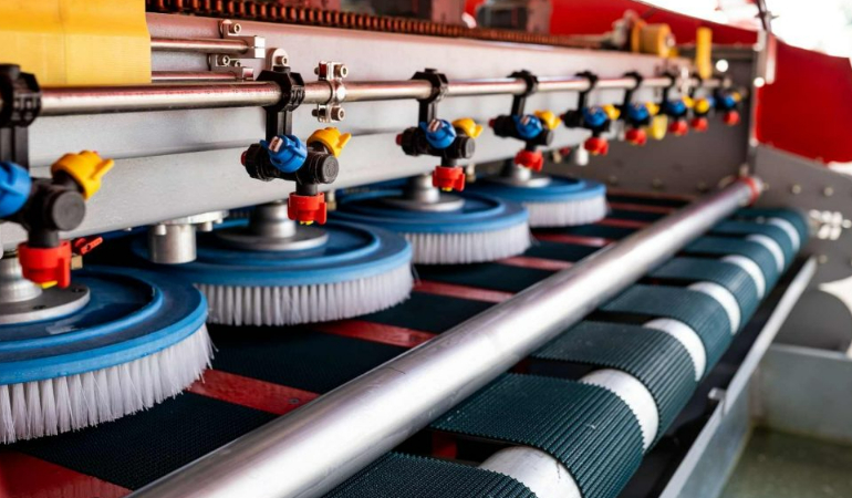 Halı Temizliği ile Evinizin Hijyenini Artırın